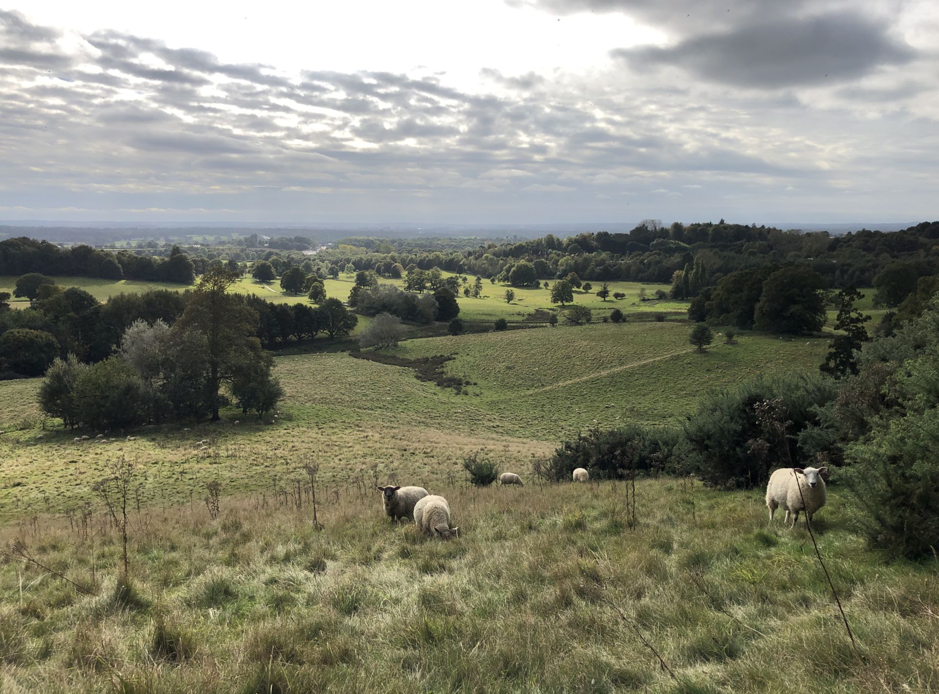 South of Bletchingley 1